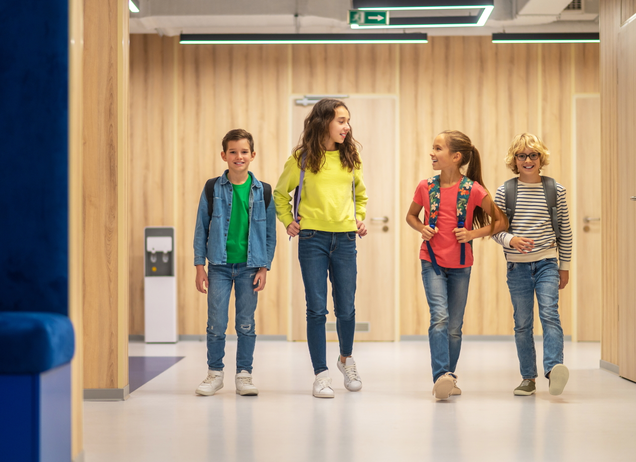 DVOSchool